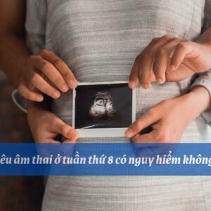 Thai 8 tuần tuổi phát triển như thế nào? Mẹ cần lưu ý gì khi siêu âm thai nhi 8 tuần