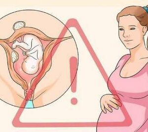 Sự phát triển tuyệt vời của thai nhi trong từng tháng trong bụng mẹ