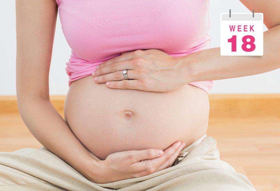 Thai 18 tuần có biểu hiện gì? Dấu hiệu thai 18 tuần khoẻ mạnh