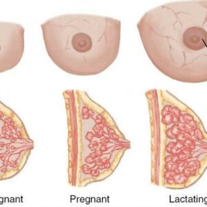 Một số dấu hiệu nhận biết mang thai thường gặp ở phụ nữ