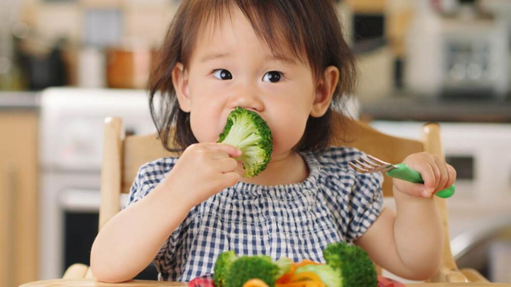 10+ thực đơn ăn dặm kiểu Nhật cho bé 10 tháng giàu dinh dưỡng