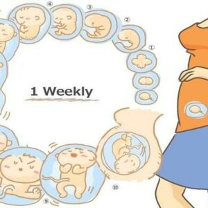 Dấu hiệu có thai tuần đầu tiên các mẹ nên biết