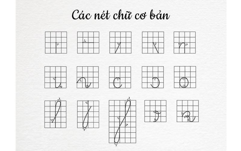 Các nét chữ cơ bản trong luyện viết tiếng Việt