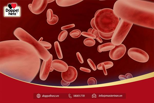 Sắt sản xuất hemoglobin cho cơ thể
